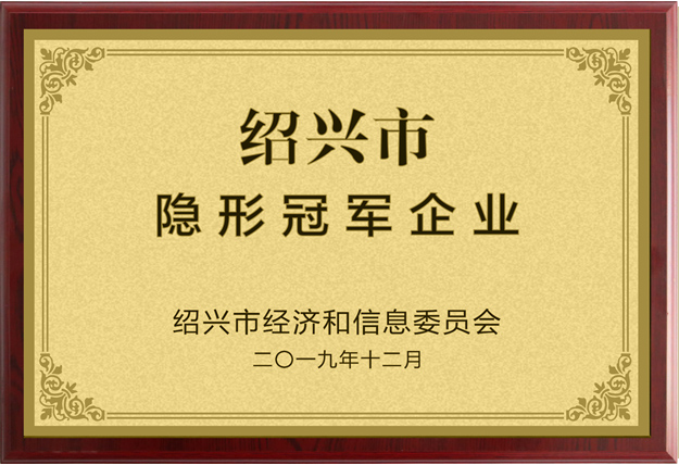 2019年紹興市隱形冠軍企業(yè)